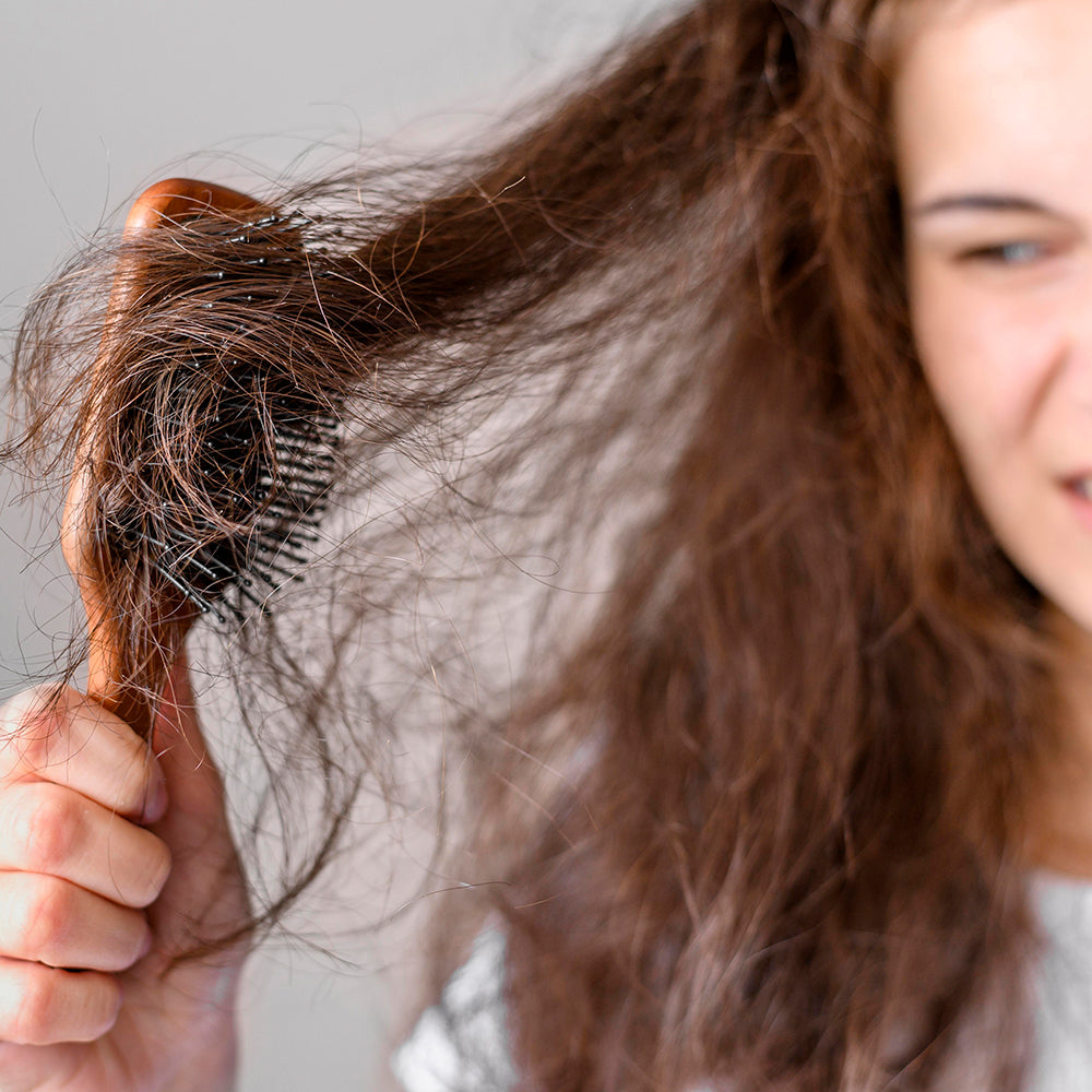 Anti-Hairfall Assessment