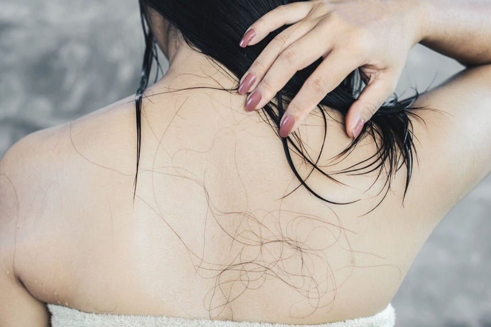Hairfall Due To Breakage