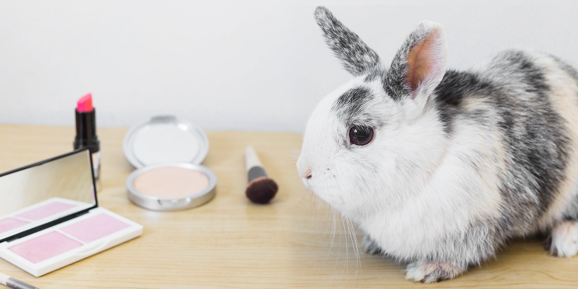 Is Cruelty Free testing the Future of Beauty and Personal Care Products?